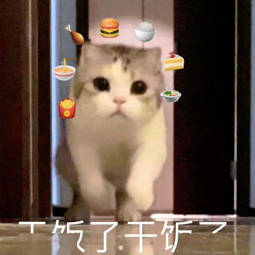 沙雕表情为什么要这样对我我还是个宝宝 沙雕表情为什么要这样对我我还是个宝宝