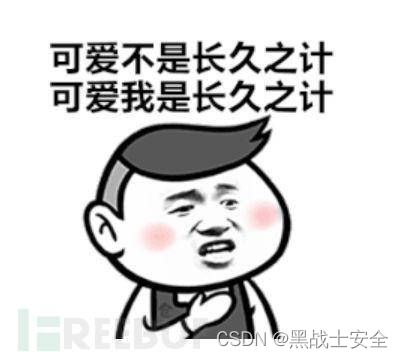  web渗透之信息收集撩妹篇上