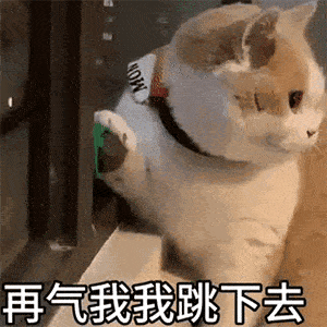  日常表情包月亮不睡我不睡,我是秃头小宝贝