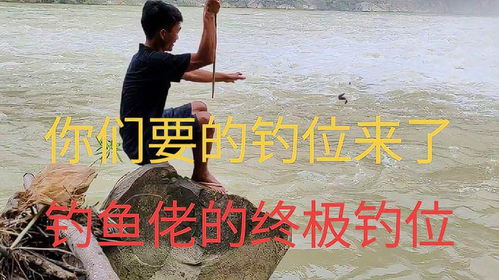  创作灵感只要拉不满就要满里拉原来钓鱼才是抖音运动顶流