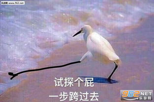  我喜欢你已经超过两分钟了不能撤回了表情包图片试探个屁一步跨过去表情包图片下载乐游网游戏下载