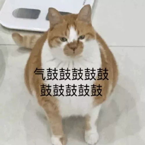  笑话段子就不能跟着我学点男子气概