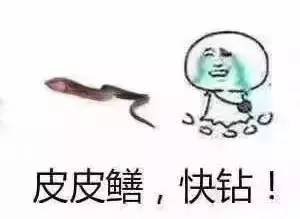  比黄鳝更刺激我就服美国人造的这条蛇精