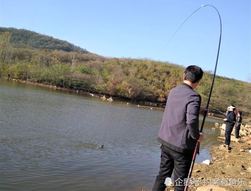  钓鱼浮漂点一下就不动这些问题不解决,钓多久都是空军