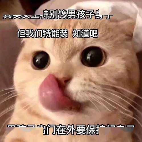 动图表情包生成表情包
