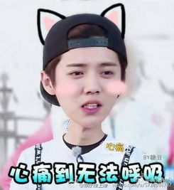  鹿晗这个表情图上面的小表情是什么app