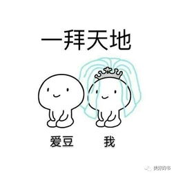  爱豆呀,我心底的白月光