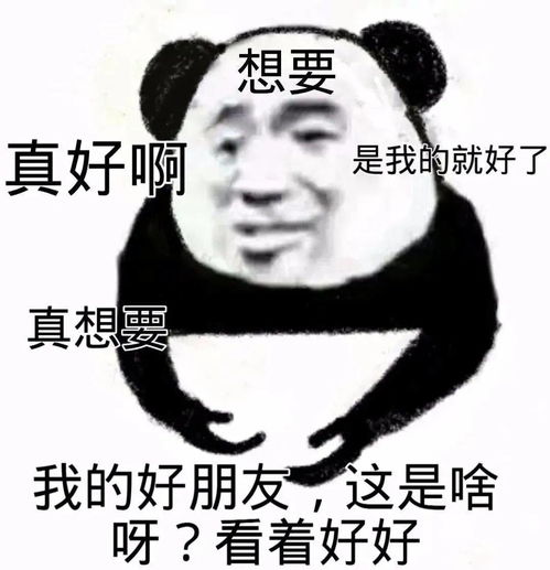  王妃的衣橱到底有多美看完我直接裂开...