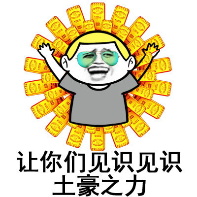  土豪专用表情包金砖盖房你懂吗