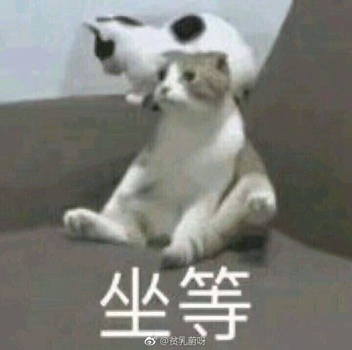  如何评价tf家族成员的综艺表现能力有无提高的方法或手段