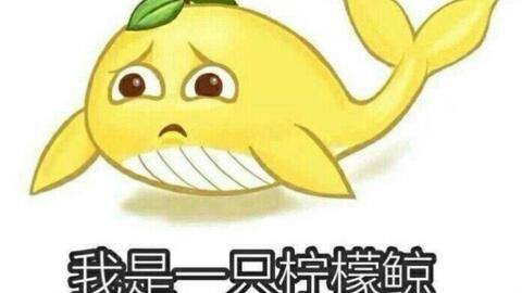 闪耀暖暖的自抽号啦,记得点赞评论哦,说不定就中了呢