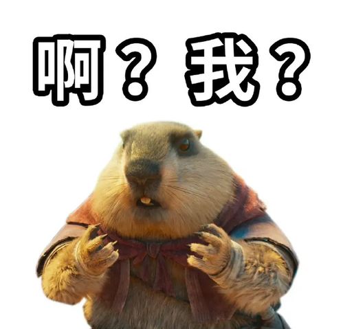  千万不要学哪吒去收土拨鼠,小心这类疾病
