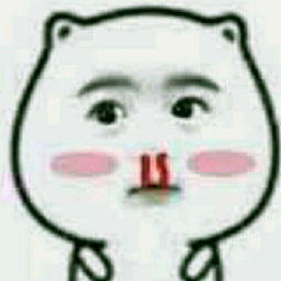  丑八怪