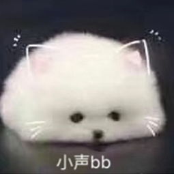 暮光母女同框回忆杀脸小细腰的小k竟成了肥胖界的新icon