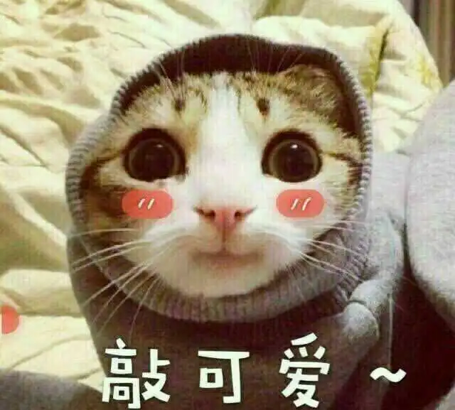 鹅们,有什么推荐的电视剧吗希望淳朴一点,不喜... 鹅们,有什么推荐的电视剧吗希望淳朴一点,不喜...