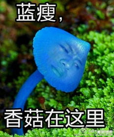 蓝瘦香菇图片表情包收好