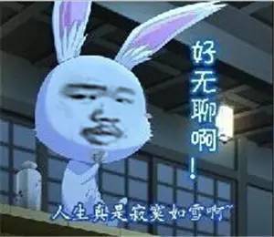  这些微博号有毒明明很无聊,但就是戒不掉