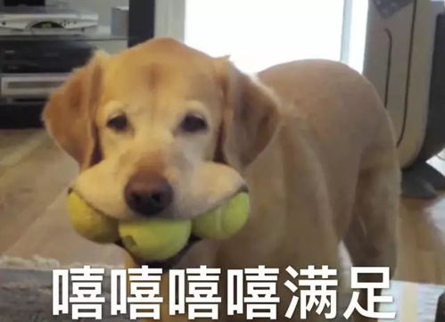  熟悉的操作小红君第24期来啦