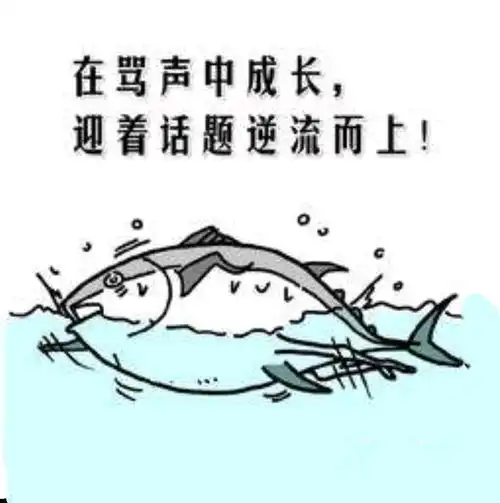 思小龙的书单咸鱼翻身的正确姿势 思小龙的书单咸鱼翻身的正确姿势