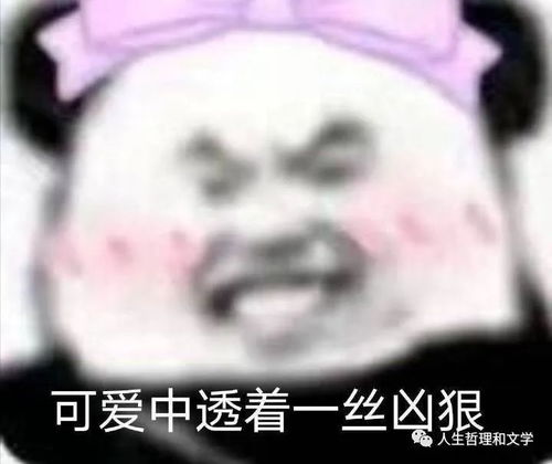  有哪些憨憨朋友圈文案让人看一次笑一次