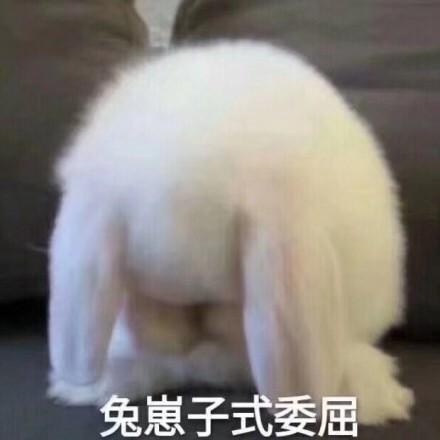  今日份互怼斗图表情包