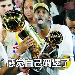  824个表情包回顾科比的篮球生涯附动态表情