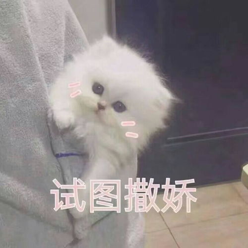  撩汉的过程是怎样的撩汉成功是种怎样的体验