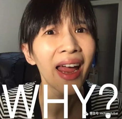 每次觉得面签都很可怕,但是我告诉你听通过这10道测试题就行啦