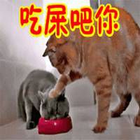  吃屎去吧表情包微信头像图片大全