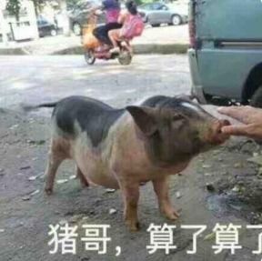  烂大街表情包下载网上超火的烂大街表情包搞笑图片高清无水印免费分享下载v1.0安族软件网