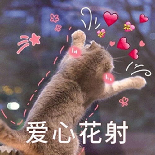  姐妹们,把最近买到的厚实加绒裙子交出来