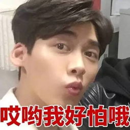  李易峰表情合集
