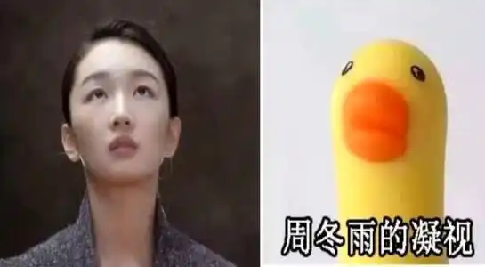 与王祖蓝相似的是小女孩,孙红雷的是动物,周冬雨的是小黄鸭 与王祖蓝相似的是小女孩,孙红雷的是动物,周冬雨的是小黄鸭