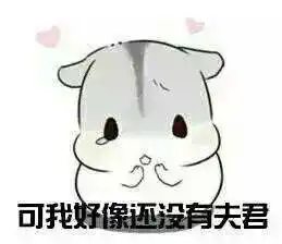 求小仓鼠夫君君的图片qwq 求小仓鼠夫君君的图片qwq