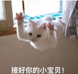  无语早起签到打卡分奖金这样的鸡汤竟然也是骗局