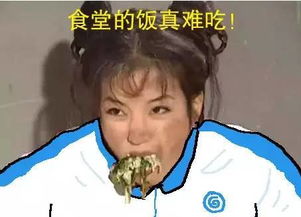  用尔康表情包的你,怎么能斗赢一个用蒙丹表情包的我