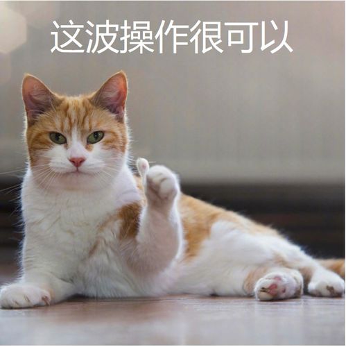  11月20日雅思考试回忆雅思上热搜的一场考试