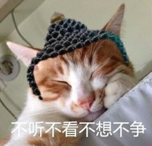  我终于活成了妈妈喜欢的样子