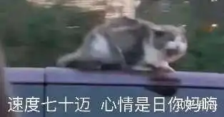  如何评价林彦俊
