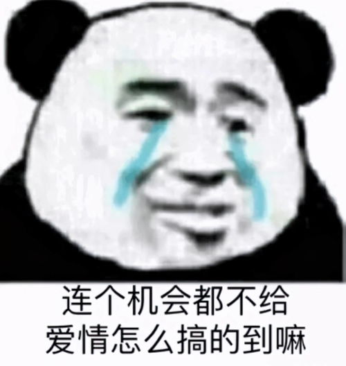  熊猫头表情包小哥哥,外面冷,快上车