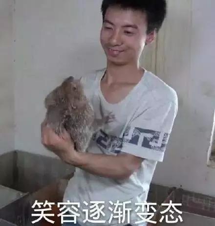 跨年表情包情侣李斯蒂