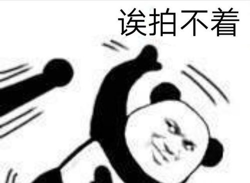  最新上线的微信拍一拍,功能目的究竟何在