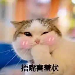 爱猫的你,可能在创造下一个千亿级市场 爱猫的你,可能在创造下一个千亿级市场