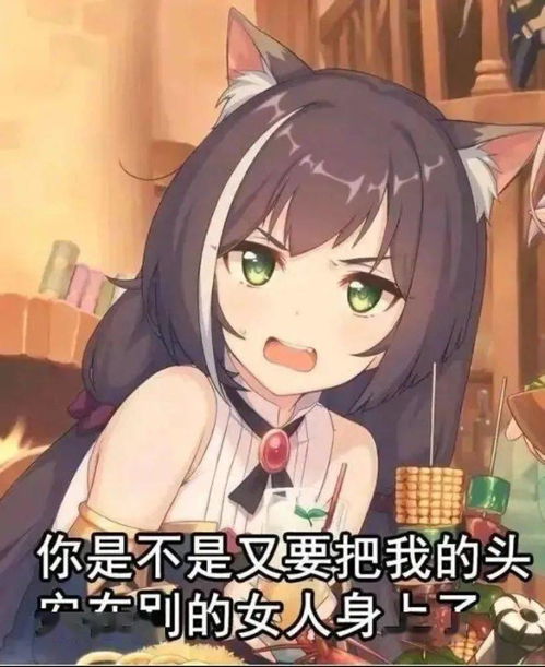  财富密码包教包会的硬核同人创作指南