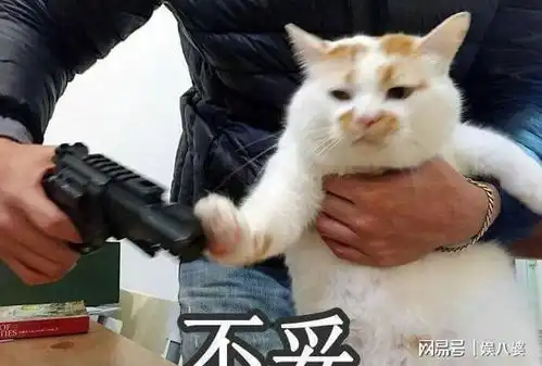 劝告猫界4不养,送给你也不要养 劝告猫界4不养,送给你也不要养