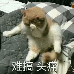  久未露面的她,一出现就是靠蛇精脸广告捞钱白富美人设彻底崩了