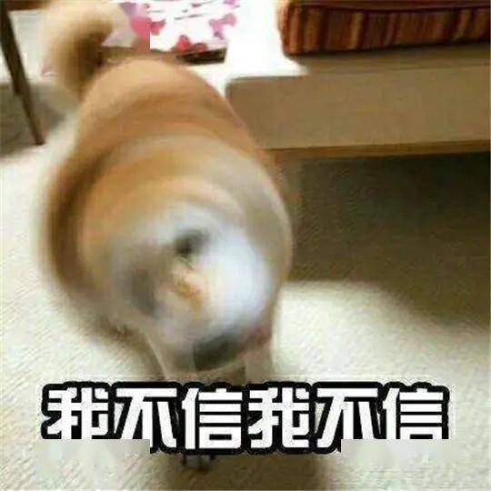  一周车话曹德旺笑了