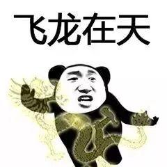  熊猫头武功斗图表情包朋友过两招佛山黄飞鸿请赐教