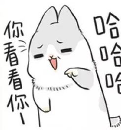 小灰兔可爱的表情包小宠