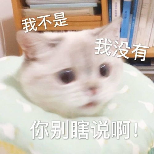 哼可爱表情包聊天表情